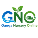 Ganga Nursary Online